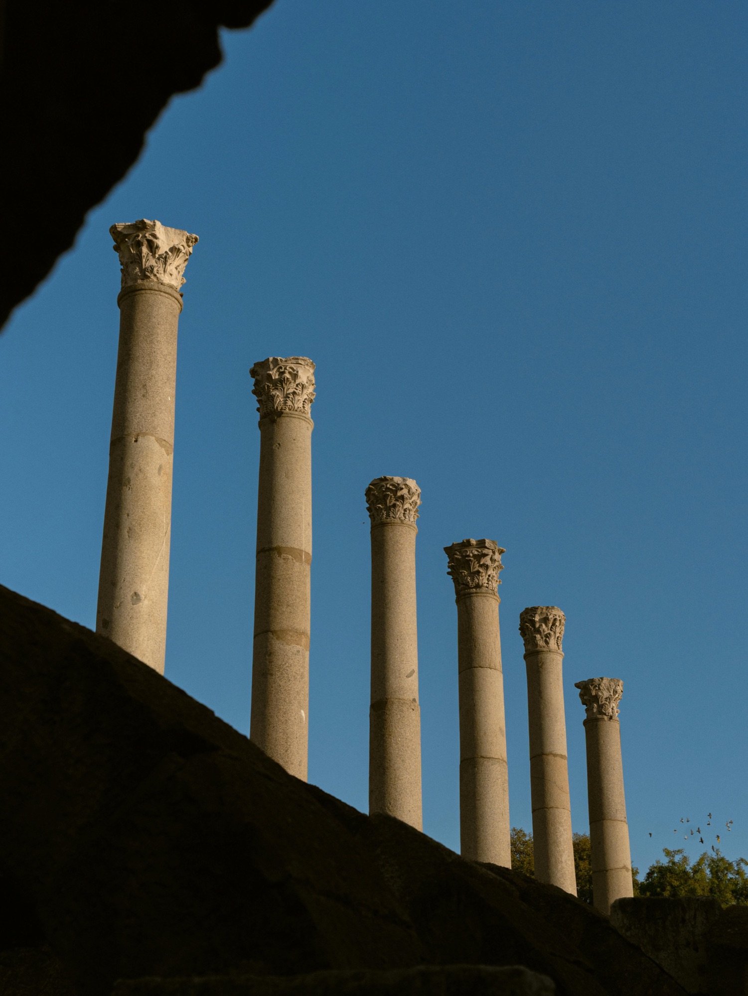 Institutional Partners